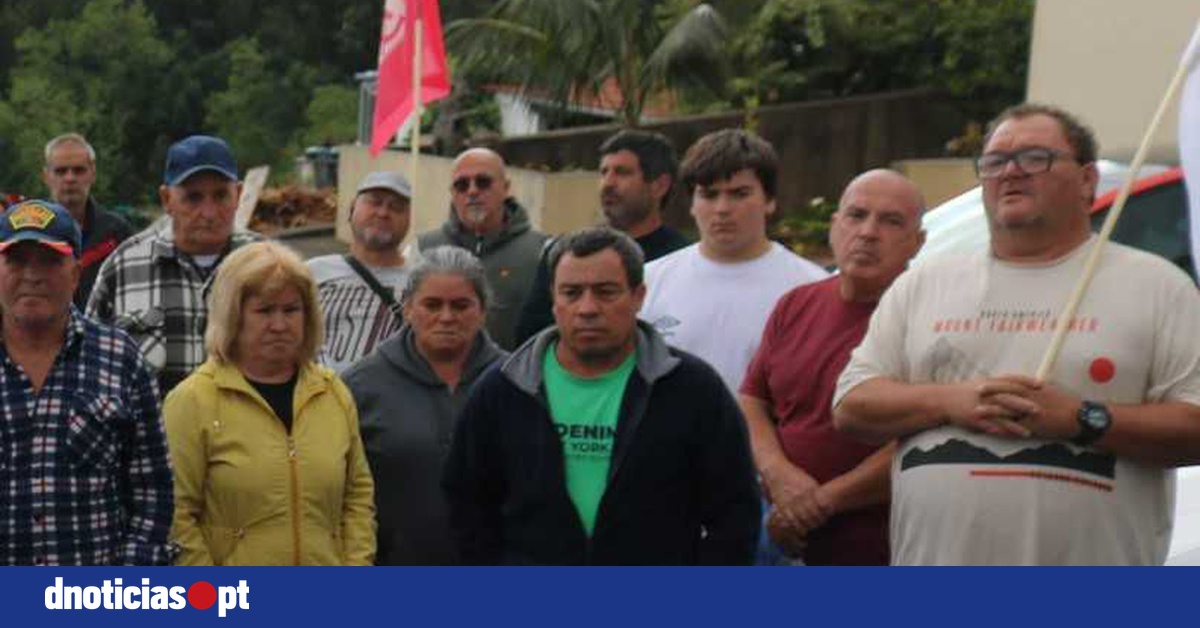 DNOTICIAS.PT