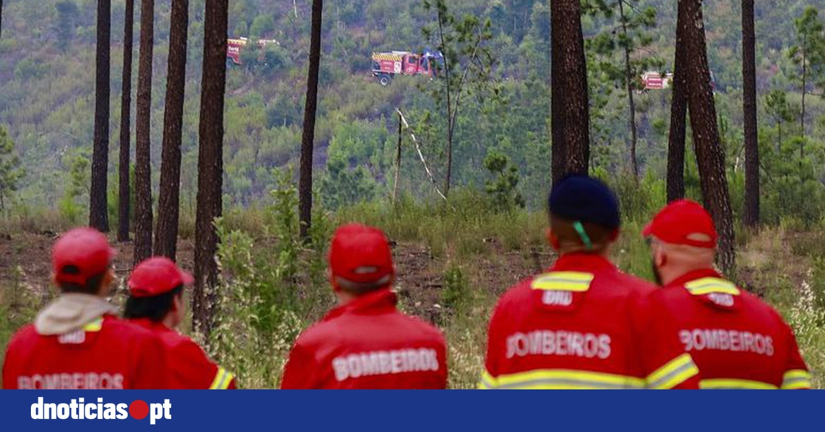 DNOTICIAS.PT