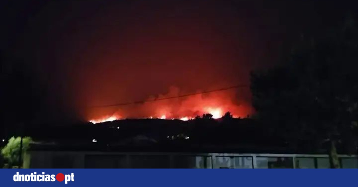 DNOTICIAS.PT