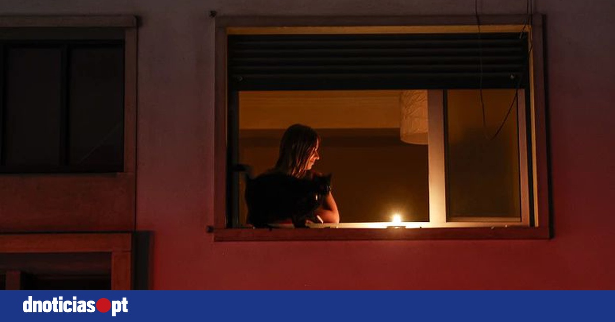 DNOTICIAS.PT