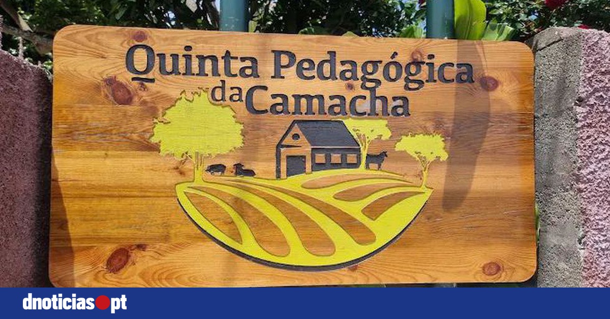 DNOTICIAS.PT