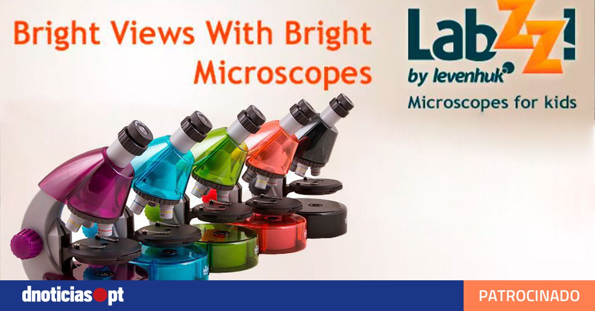 Labzz: A inspirar mentes jovens e a despertar curiosidades — DNOTICIAS.PT