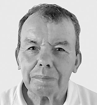 Manuel Fernandes Luís — DNOTICIAS.PT
