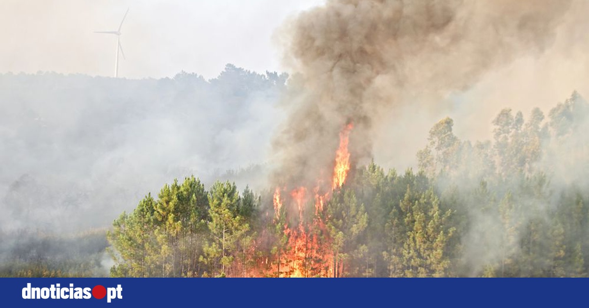 DNOTICIAS.PT