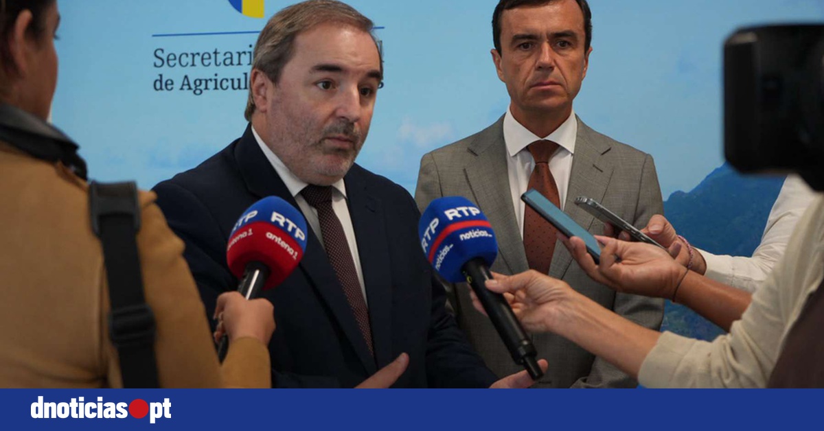 DNOTICIAS.PT