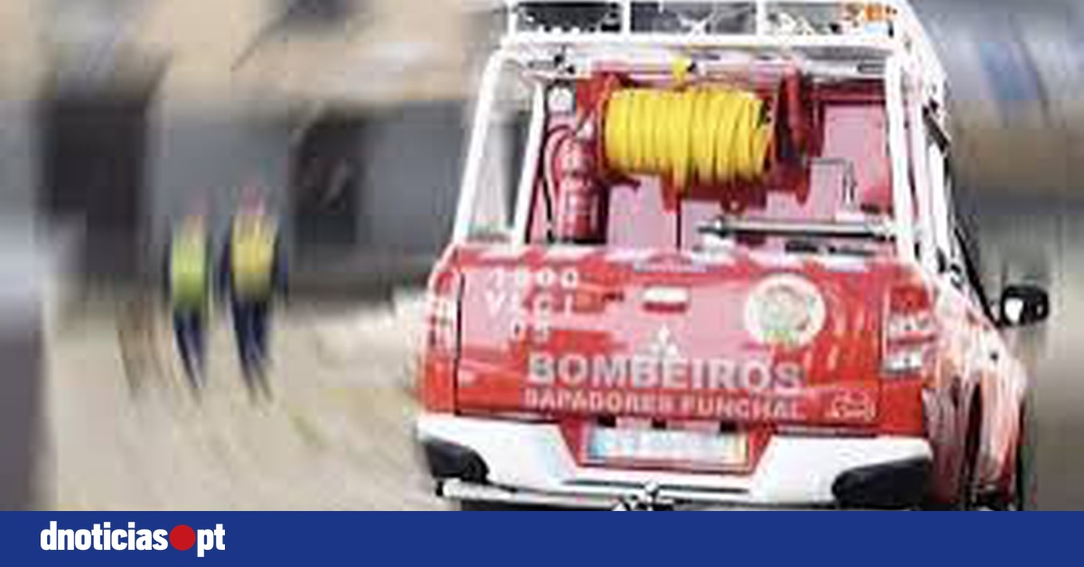 DNOTICIAS.PT