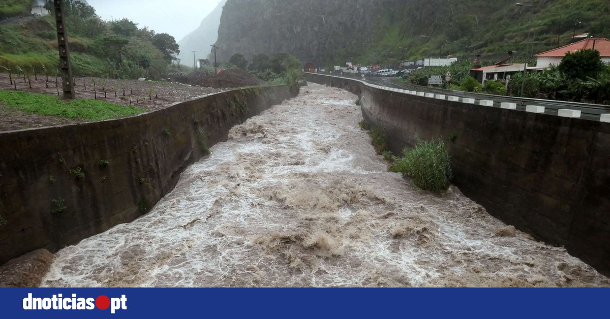 DNOTICIAS.PT