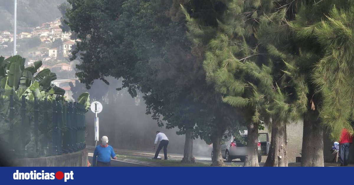 DNOTICIAS.PT