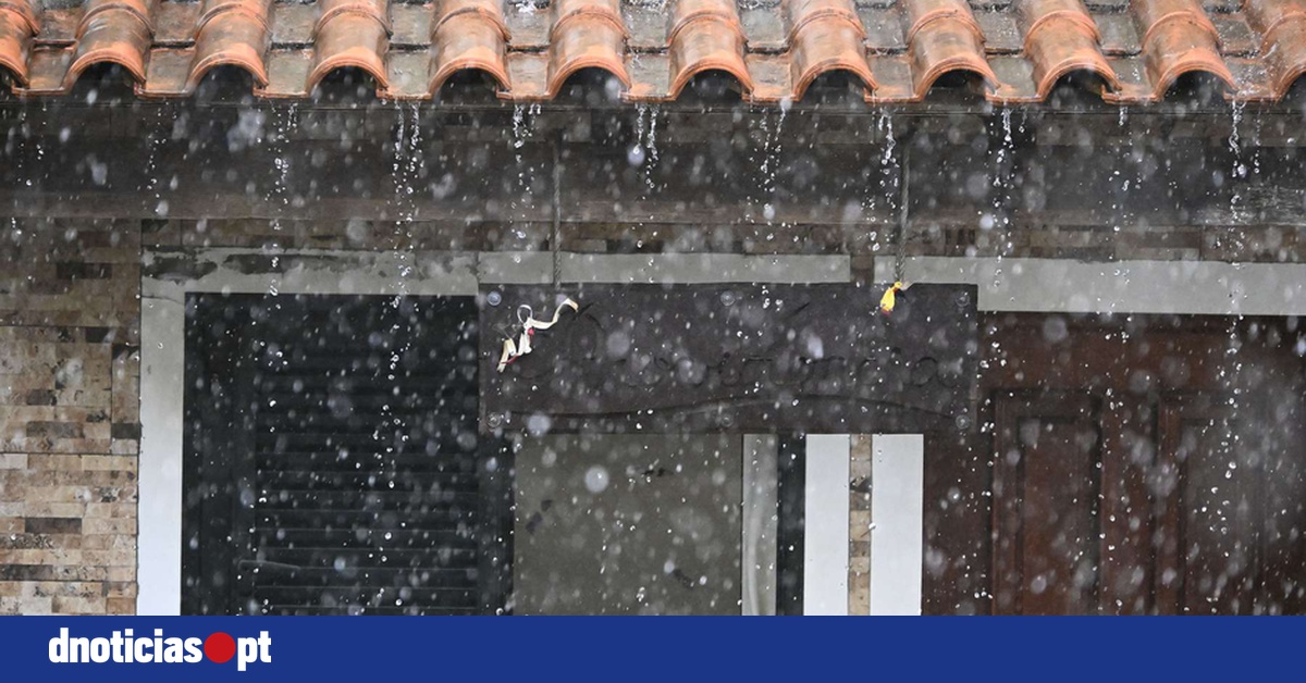 DNOTICIAS.PT