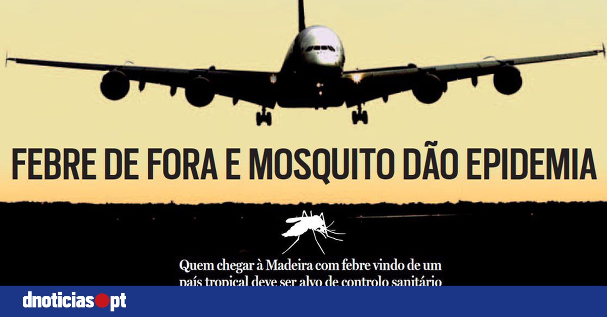 DNOTICIAS.PT